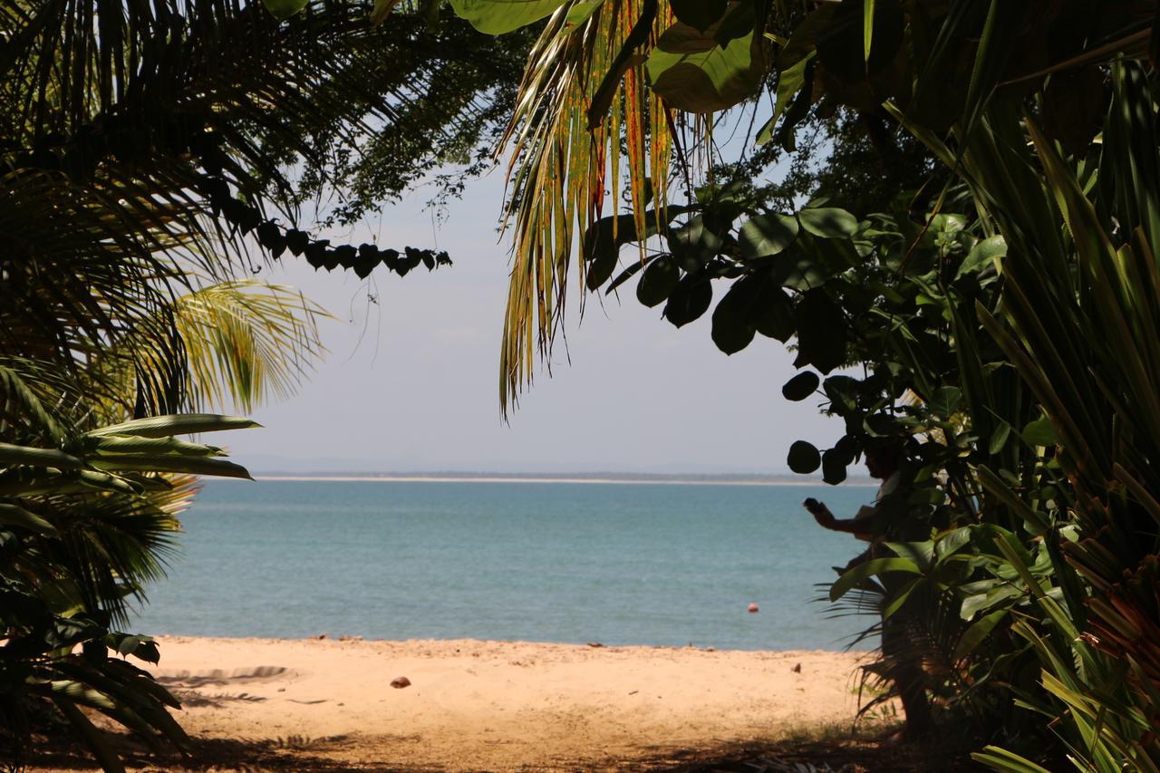 Coroaci Beach House Barra Grande  Dış mekan fotoğraf