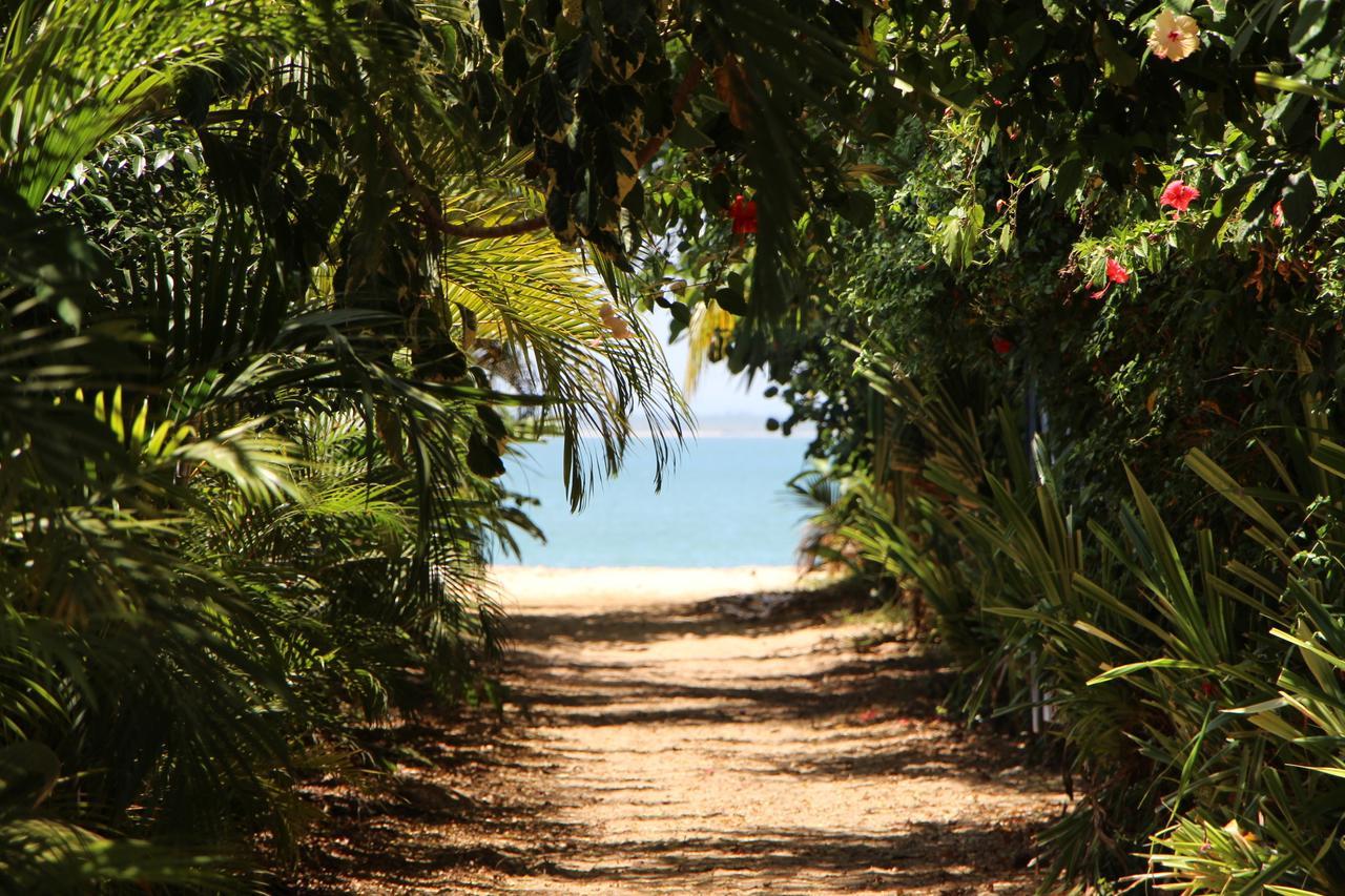 Coroaci Beach House Barra Grande  Dış mekan fotoğraf